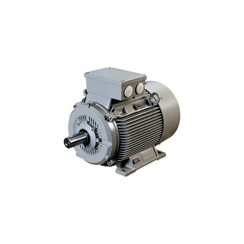 Moteur triphasé IE3 45kW 1000 tr/min Hauteur d'axe 280mm Moteur triphasé IE3 45kW 1000 tr/min Hauteur d'axe 280mm