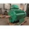 Moteur occasion Leroy Somer 250 kW 1482 tr/min