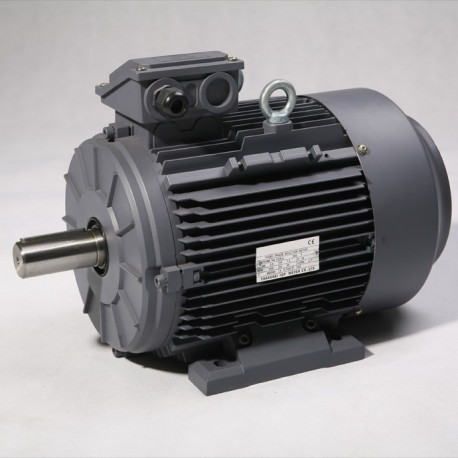 Moteur triphasé IE2 0,55kW 1000 tr/min Hauteur d'axe 080mm