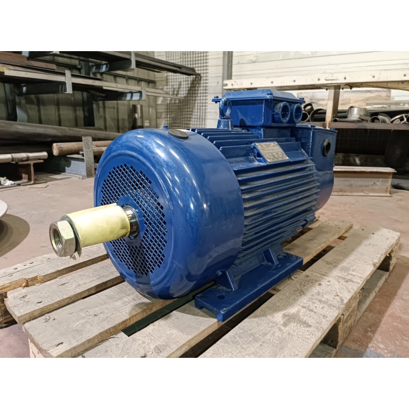 Moteur de levage occasion 2EC 19 kW 1470 tr/min Moteur de levage occasion 2EC 19 kW 1470 tr/min