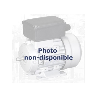 Moteur occasion ABB 5,2/1,35 kW 750/1500 tr/min