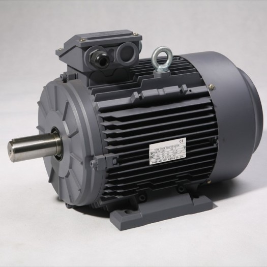 Moteur triphasé  0,18kW  3000 tr/min Hauteur d'axe 063mm