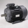 Moteur triphasé  0,18kW  3000 tr/min Hauteur d'axe 063mm