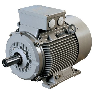 Moteur triphasé 55kW 750 tr/min Hauteur d'axe 315mm