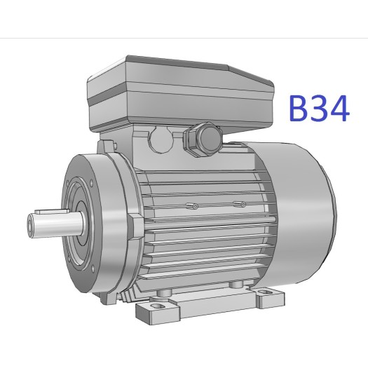Moteur monophasé 0,25kW  3000 tr/min Hauteur d'axe 063mm